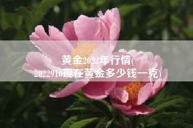 黄金2022年行情(
2022916现在黄金多少钱一克) 黄金2022年行情(
2022916现在黄金多少钱一克)