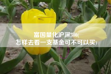 富国量化沪深300(
怎样去看一支基金可不可以买) 富国量化沪深300(
怎样去看一支基金可不可以买)