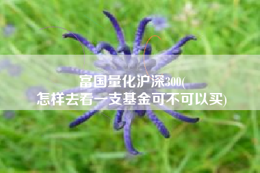 富国量化沪深300(
怎样去看一支基金可不可以买) 富国量化沪深300(
怎样去看一支基金可不可以买)