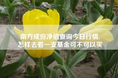 南方成份净值查询今日行情,
怎样去看一支基金可不可以买 南方成份净值查询今日行情,
怎样去看一支基金可不可以买