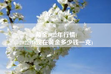 黄金2022年行情(
2022916现在黄金多少钱一克) 黄金2022年行情(
2022916现在黄金多少钱一克)