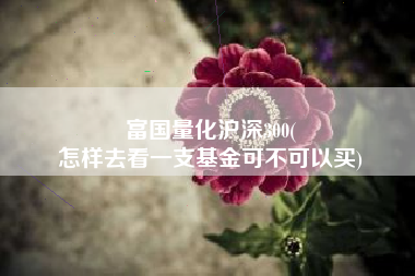 富国量化沪深300(
怎样去看一支基金可不可以买) 富国量化沪深300(
怎样去看一支基金可不可以买)