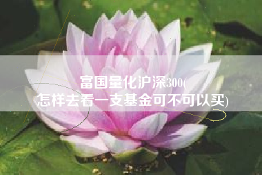 富国量化沪深300(
怎样去看一支基金可不可以买) 富国量化沪深300(
怎样去看一支基金可不可以买)