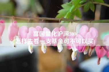 富国量化沪深300(
怎样去看一支基金可不可以买) 富国量化沪深300(
怎样去看一支基金可不可以买)