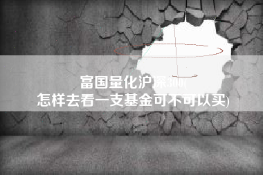 富国量化沪深300(
怎样去看一支基金可不可以买) 富国量化沪深300(
怎样去看一支基金可不可以买)