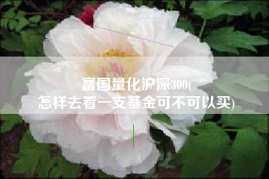 富国量化沪深300(
怎样去看一支基金可不可以买) 富国量化沪深300(
怎样去看一支基金可不可以买)