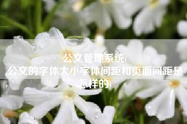 公文管理系统(
公文的字体大小字体间距和页面间距是怎样的) 公文管理系统(
公文的字体大小字体间距和页面间距是怎样的)