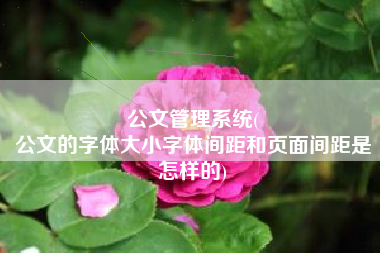 公文管理系统(
公文的字体大小字体间距和页面间距是怎样的) 公文管理系统(
公文的字体大小字体间距和页面间距是怎样的)