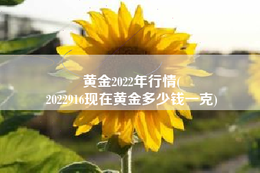黄金2022年行情(
2022916现在黄金多少钱一克) 黄金2022年行情(
2022916现在黄金多少钱一克)