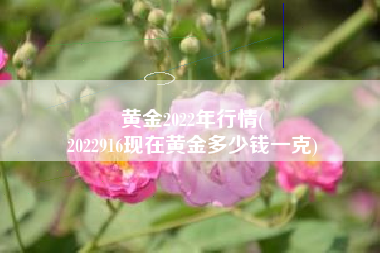 黄金2022年行情(
2022916现在黄金多少钱一克) 黄金2022年行情(
2022916现在黄金多少钱一克)