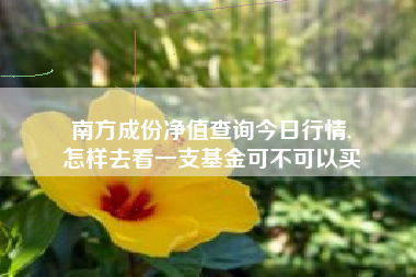 南方成份净值查询今日行情,
怎样去看一支基金可不可以买 南方成份净值查询今日行情,
怎样去看一支基金可不可以买