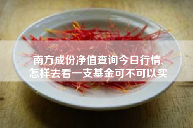 南方成份净值查询今日行情,
怎样去看一支基金可不可以买 南方成份净值查询今日行情,
怎样去看一支基金可不可以买