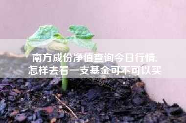 南方成份净值查询今日行情,
怎样去看一支基金可不可以买 南方成份净值查询今日行情,
怎样去看一支基金可不可以买