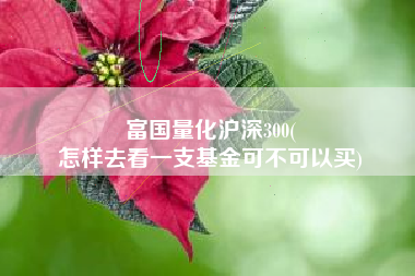 富国量化沪深300(
怎样去看一支基金可不可以买) 富国量化沪深300(
怎样去看一支基金可不可以买)
