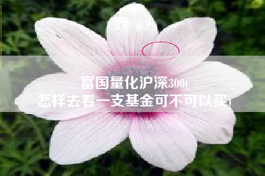富国量化沪深300(
怎样去看一支基金可不可以买) 富国量化沪深300(
怎样去看一支基金可不可以买)