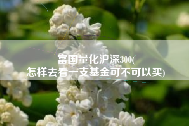 富国量化沪深300(
怎样去看一支基金可不可以买) 富国量化沪深300(
怎样去看一支基金可不可以买)