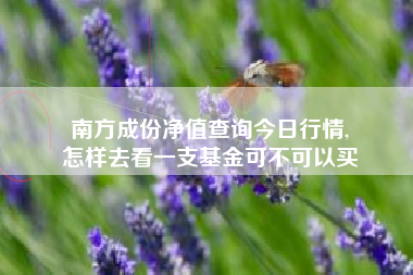 南方成份净值查询今日行情,
怎样去看一支基金可不可以买 南方成份净值查询今日行情,
怎样去看一支基金可不可以买