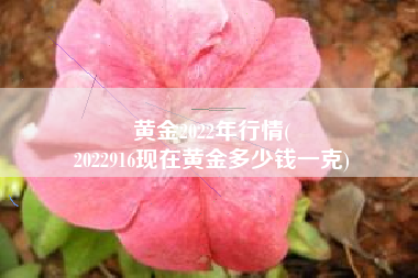 黄金2022年行情(
2022916现在黄金多少钱一克) 黄金2022年行情(
2022916现在黄金多少钱一克)