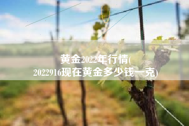 黄金2022年行情(
2022916现在黄金多少钱一克) 黄金2022年行情(
2022916现在黄金多少钱一克)