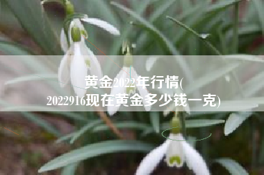 黄金2022年行情(
2022916现在黄金多少钱一克) 黄金2022年行情(
2022916现在黄金多少钱一克)