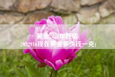 黄金2022年行情(
2022916现在黄金多少钱一克) 黄金2022年行情(
2022916现在黄金多少钱一克)