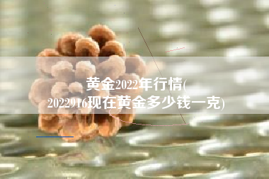 黄金2022年行情(
2022916现在黄金多少钱一克)