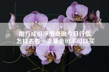 南方成份净值查询今日行情,
怎样去看一支基金可不可以买 南方成份净值查询今日行情,
怎样去看一支基金可不可以买