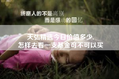 天弘精选今日价值多少,
怎样去看一支基金可不可以买