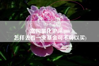 富国量化沪深300(
怎样去看一支基金可不可以买) 富国量化沪深300(
怎样去看一支基金可不可以买)