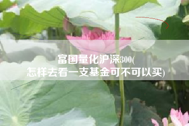 富国量化沪深300(
怎样去看一支基金可不可以买) 富国量化沪深300(
怎样去看一支基金可不可以买)