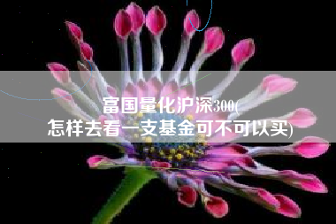 富国量化沪深300(
怎样去看一支基金可不可以买) 富国量化沪深300(
怎样去看一支基金可不可以买)
