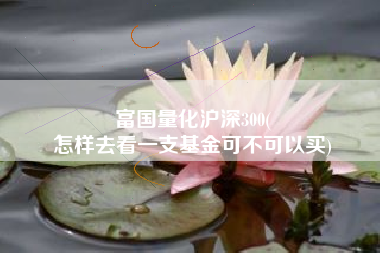 富国量化沪深300(
怎样去看一支基金可不可以买) 富国量化沪深300(
怎样去看一支基金可不可以买)