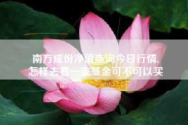 南方成份净值查询今日行情,
怎样去看一支基金可不可以买 南方成份净值查询今日行情,
怎样去看一支基金可不可以买