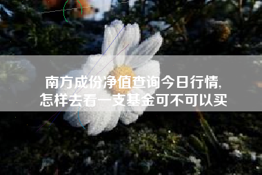 南方成份净值查询今日行情,
怎样去看一支基金可不可以买 南方成份净值查询今日行情,
怎样去看一支基金可不可以买