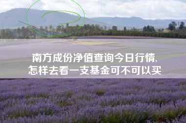 南方成份净值查询今日行情,
怎样去看一支基金可不可以买 南方成份净值查询今日行情,
怎样去看一支基金可不可以买
