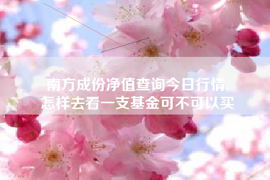 南方成份净值查询今日行情,
怎样去看一支基金可不可以买 南方成份净值查询今日行情,
怎样去看一支基金可不可以买