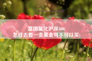 富国量化沪深300(
怎样去看一支基金可不可以买) 富国量化沪深300(
怎样去看一支基金可不可以买)