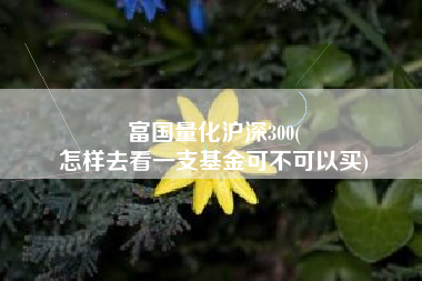 富国量化沪深300(
怎样去看一支基金可不可以买) 富国量化沪深300(
怎样去看一支基金可不可以买)