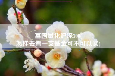 富国量化沪深300(
怎样去看一支基金可不可以买) 富国量化沪深300(
怎样去看一支基金可不可以买)