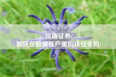 汉唐证券(
股民在股票账户里的钱安全吗)