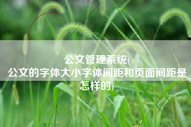 公文管理系统(
公文的字体大小字体间距和页面间距是怎样的) 公文管理系统(
公文的字体大小字体间距和页面间距是怎样的)