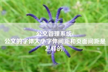 公文管理系统(
公文的字体大小字体间距和页面间距是怎样的) 公文管理系统(
公文的字体大小字体间距和页面间距是怎样的)